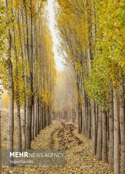 عکسهای زیبای طبیعت لرستان