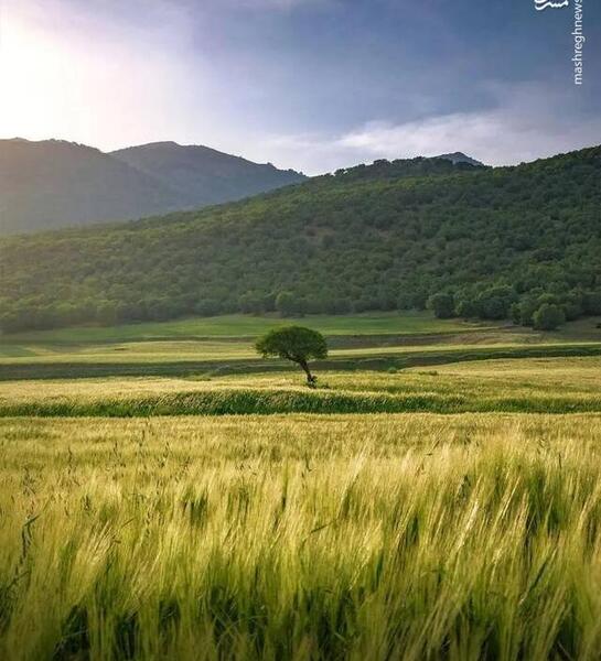 عکسهای زیبای طبیعت لرستان