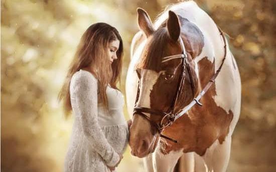 عکس اسب برای پروفایل پسرانه