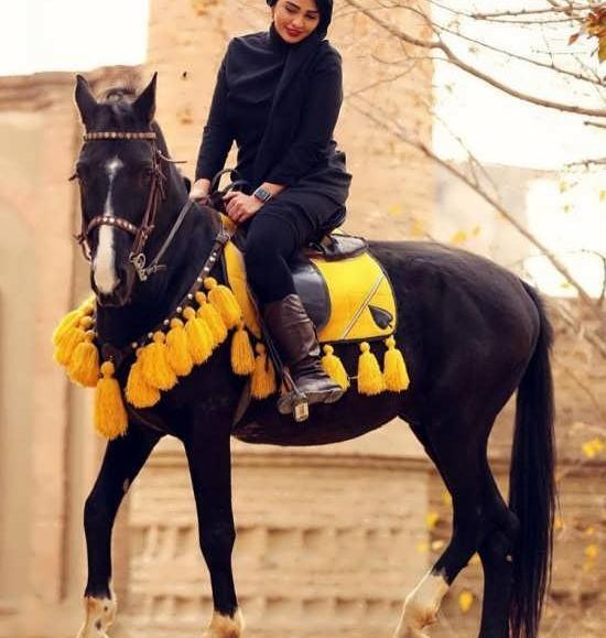 عکس اسب برای پروفایل پسرانه
