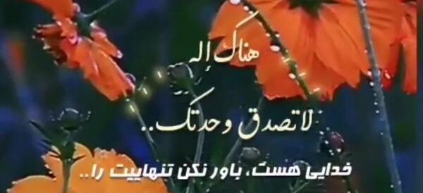 عکس استوری واتساپ زهرا