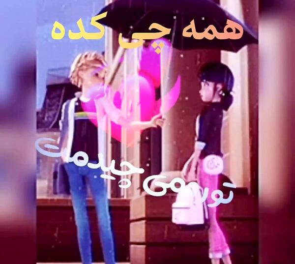 عکس های عاشقانه کت نوار و مرینت