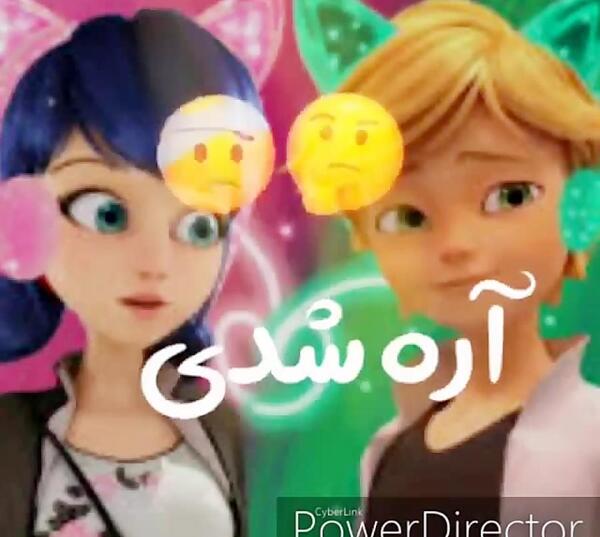 عکس های عاشقانه کت نوار و مرینت
