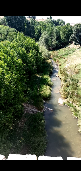 عکس طبیعت نی نی سایت