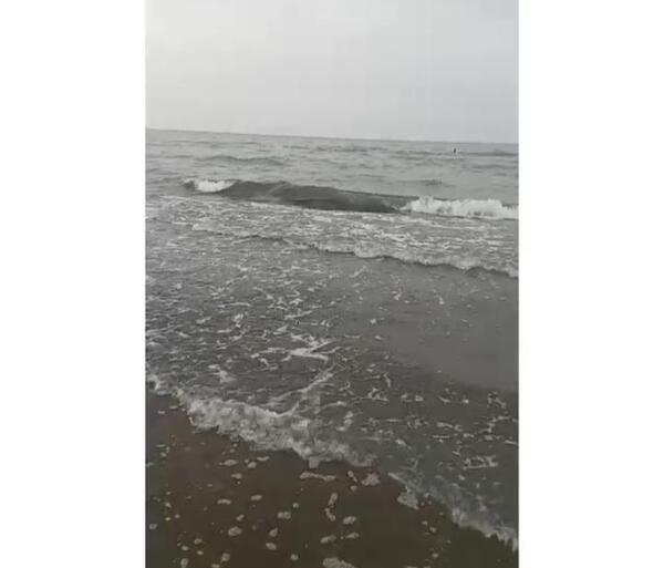 عکس طبیعت نی نی سایت