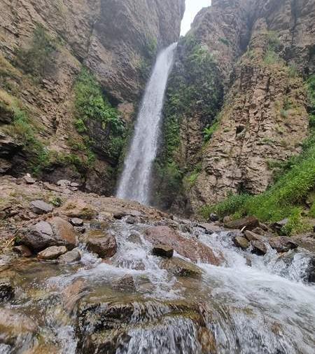 عکس طبیعت نی نی سایت