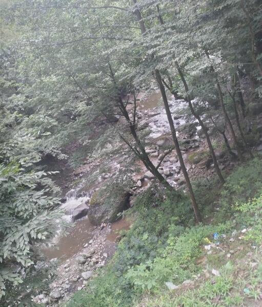 عکس طبیعت نی نی سایت