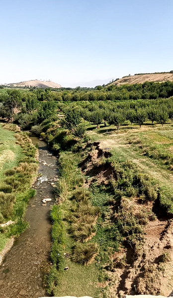 عکس طبیعت نی نی سایت