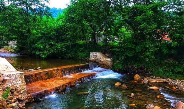 عکس طبیعت نی نی سایت