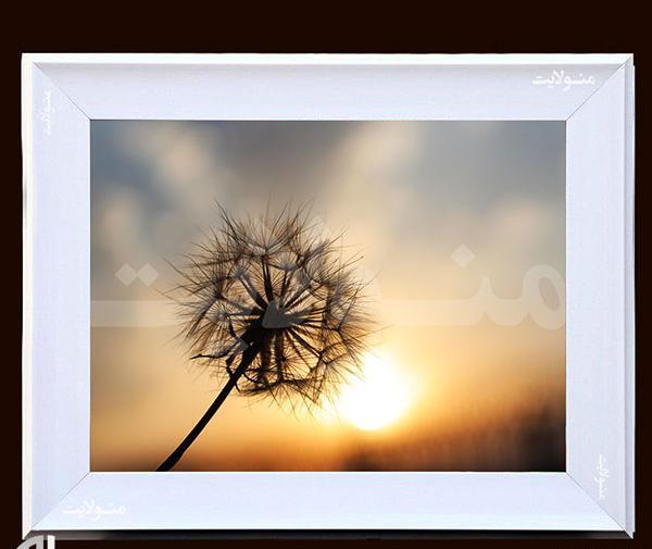 عکس بک لایت عروسی