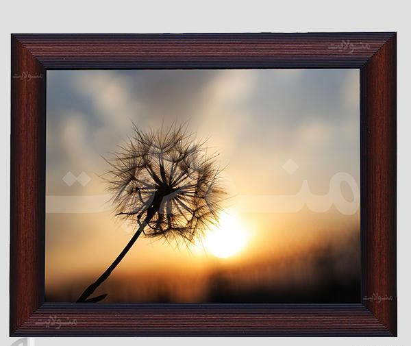 عکس بک لایت عروسی