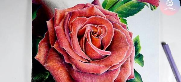 عکس نقاشی گل مداد رنگی