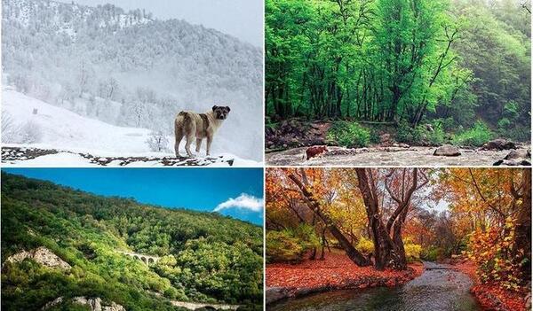 عکس از طبیعت ایران واقعی