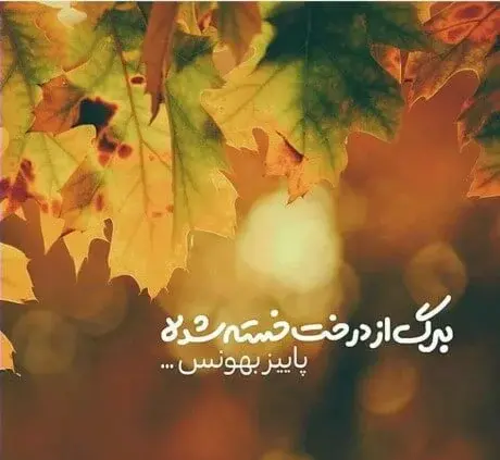 عکس در مورد طبیعت پاییز