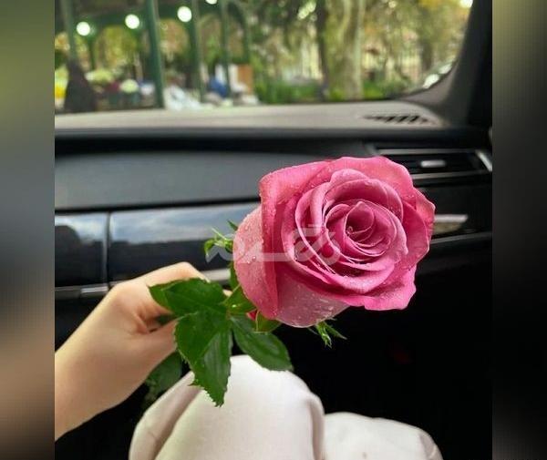 عکس پروفایل جدید ۱۴۰۲