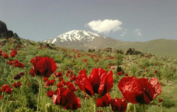 عکس هوایی قله دماوند