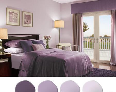 عکس رنگ یاسی
