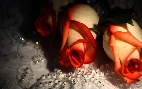 عکس نوشته فلسفی شاعرانه