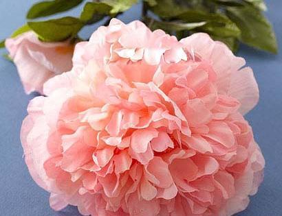 عکس دسته گل برای روز پدر