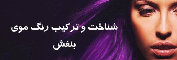 عکس رنگ بنفش روشن