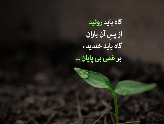 عکس نوشته شعر عاشقانه مولوی