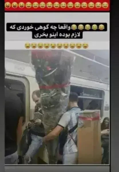 عکس شاه پریون واقعی