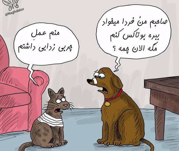 عکس سپ بلاگ کجا زندگی میکند؟