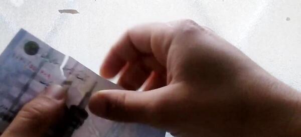 عکس شپش سر زنده