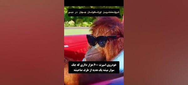 عکس از آسمان کربلا