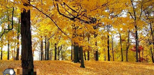 عکس تصاویر زیبای طبیعت با آهنگ