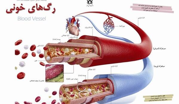 عکس از ایران در خون