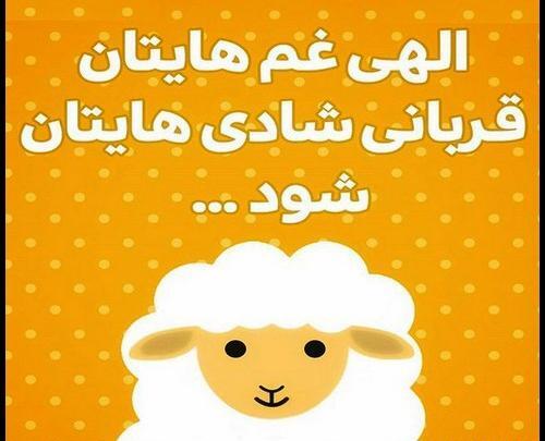 عکس نوشته قربانی شدن