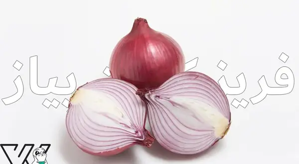 عکس کاکتوس مدادی
