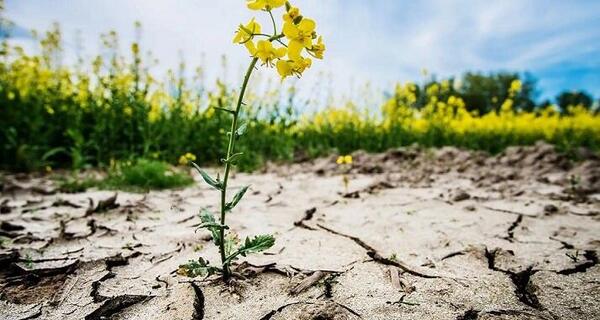 عکس روز جهانی بیابان‌زدایی