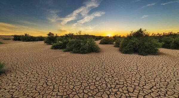 عکس روز جهانی بیابان‌زدایی