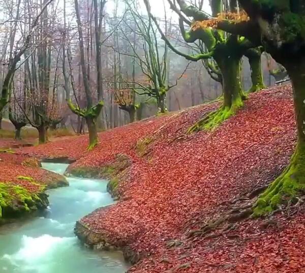 عکس زیبایی های طبیعت