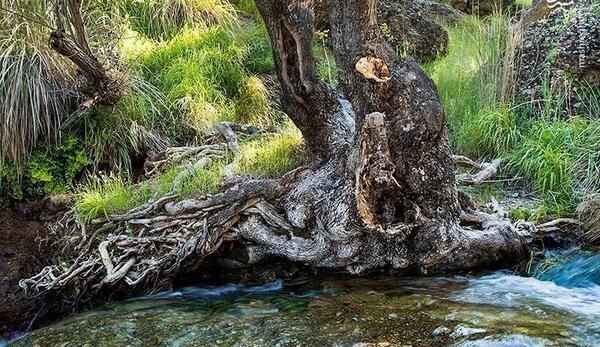 عکس زیبایی های طبیعت