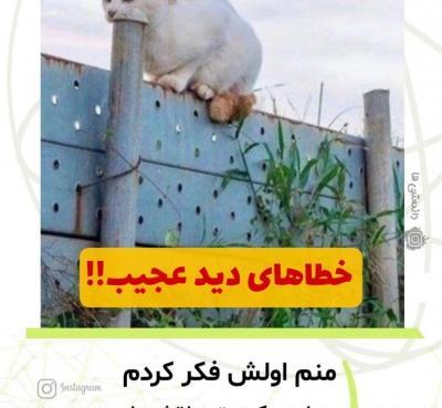 عکس خطای دید عجیب