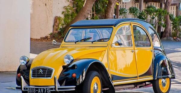 دانلود عکس ژیان