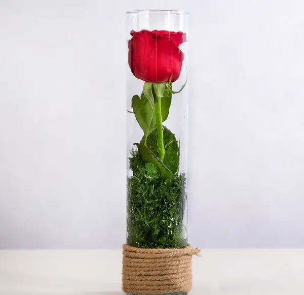 عکس گل رز فنجان