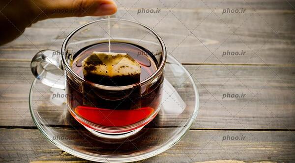 عکس گل رز فنجان