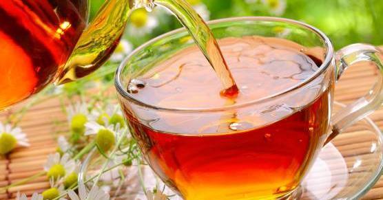 عکس گل رز فنجان