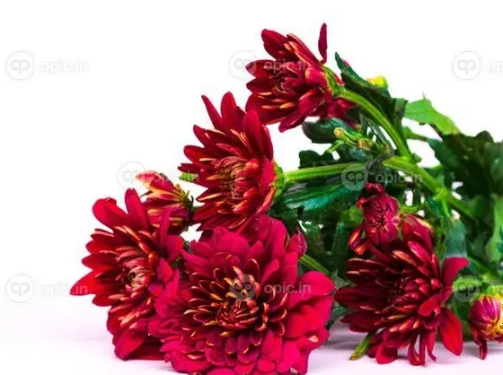 عکس طرح مفهومی