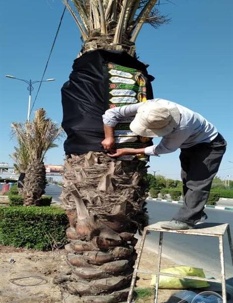 عکس فضاسازی محرم