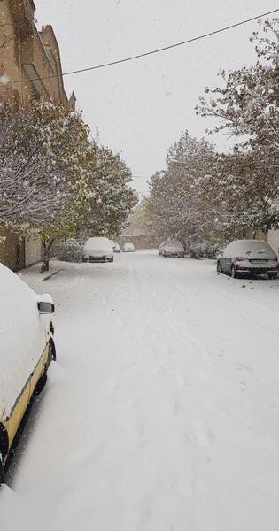 عکس برف در تهران