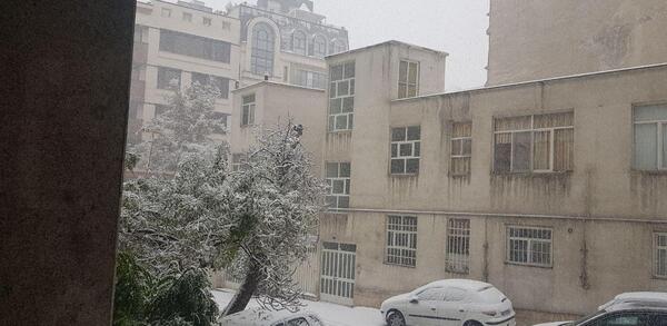 عکس برف در تهران