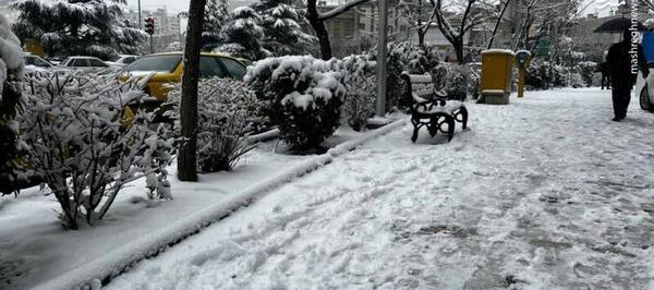 عکس برف در تهران