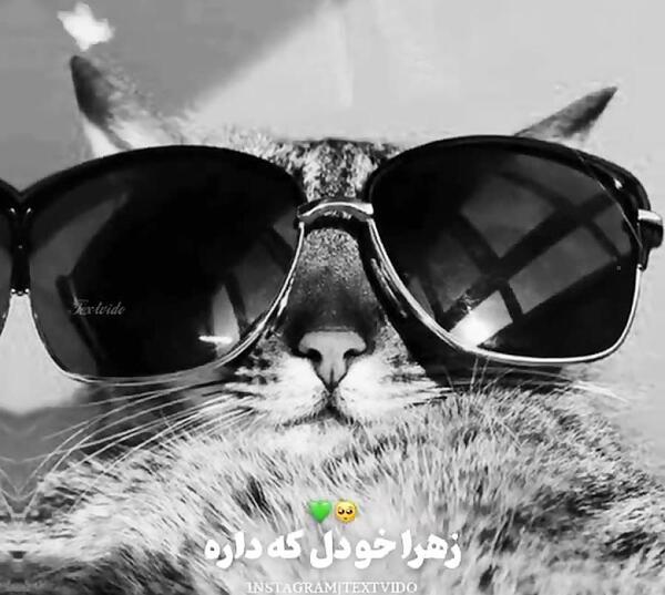 عکس در مورد زهرا