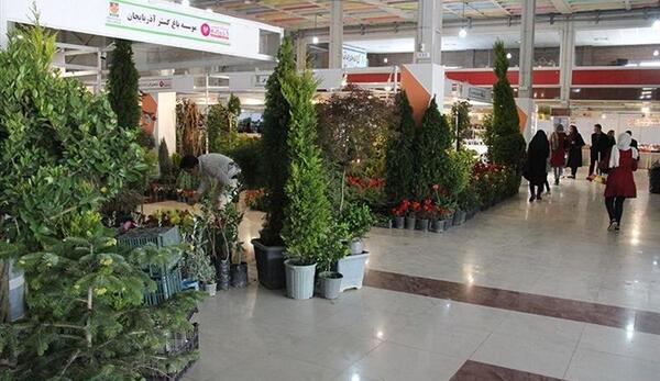 عکس تصاویر نمایشگاه گل