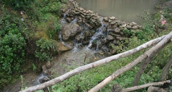 عکس خانواده صیاد شیرازی